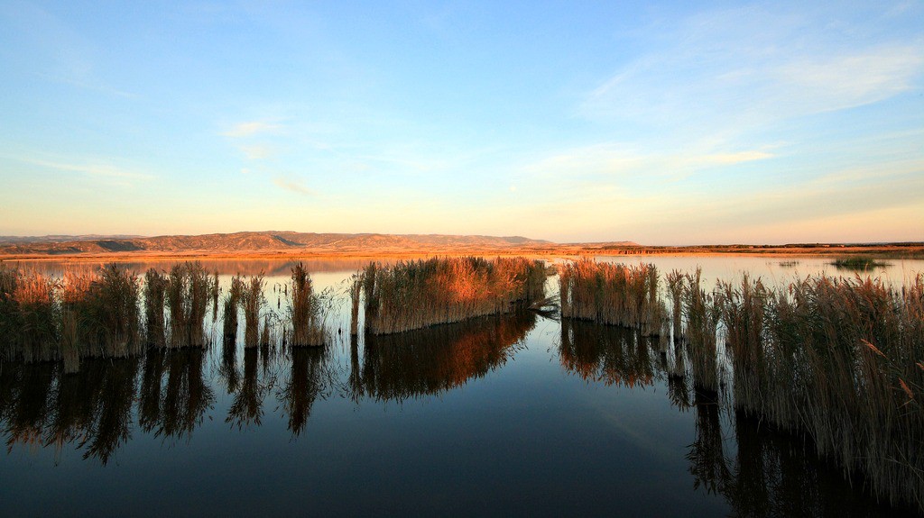 Laguna de Pitillas - Turismo en Navarra